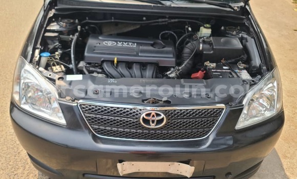Sayi Na hannu Toyota Corolla Black Mota in Douala a Ƙasar Kamaru Sayi Na hannu Toyota Corolla Black Mota in Douala a Ƙasar Kamaru