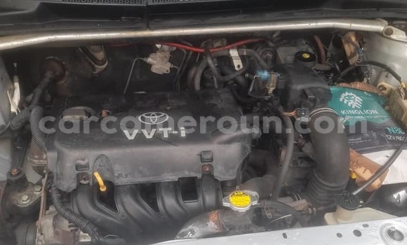Buy Used Toyota Yaris Silver Car in Douala in Littoral Cameroon Buy Used Toyota Yaris Silver Car in Douala in Littoral Cameroon