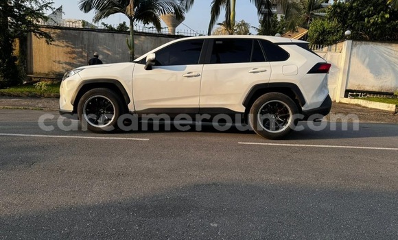 Acheter Neuf Voiture Toyota RAV4 Blanc à Douala, Littoral Cameroon Acheter Neuf Voiture Toyota RAV4 Blanc à Douala, Littoral Cameroon