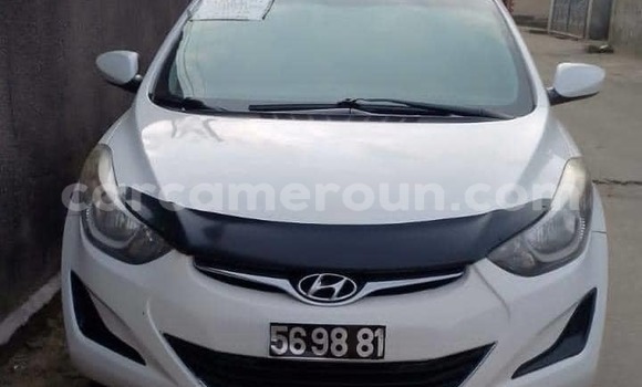 Buy Used Hyundai Elantra White Car in Douala in Littoral Cameroon