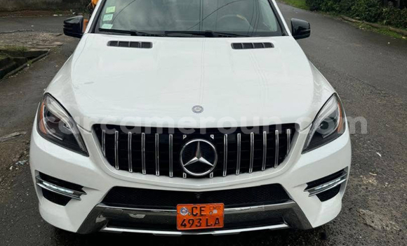Buy Used Mercedes‒Benz ML–Class White Car in Douala in Littoral Cameroon