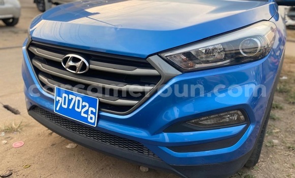 Buy New Hyundai Tucson Blue Car in Douala in Littoral Cameroon Buy New Hyundai Tucson Blue Car in Douala in Littoral Cameroon