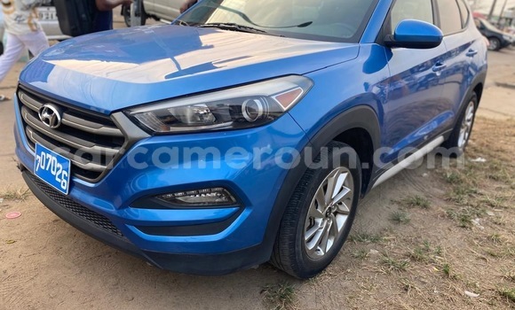 Buy New Hyundai Tucson Blue Car in Douala in Littoral Cameroon Buy New Hyundai Tucson Blue Car in Douala in Littoral Cameroon