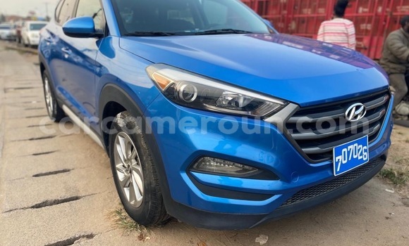 Buy New Hyundai Tucson Blue Car in Douala in Littoral Cameroon Buy New Hyundai Tucson Blue Car in Douala in Littoral Cameroon