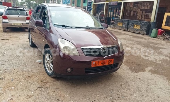 Acheter Occasion Voiture Toyota Corolla Verso Marron à Douala, Littoral Cameroon