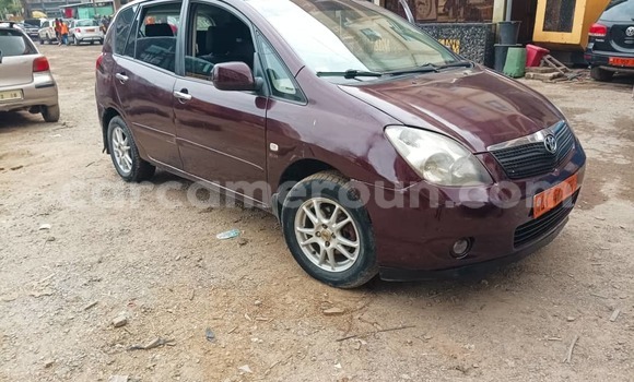 Buy Used Toyota Corolla Verso Brown Car in Douala in Littoral Cameroon Buy Used Toyota Corolla Verso Brown Car in Douala in Littoral Cameroon