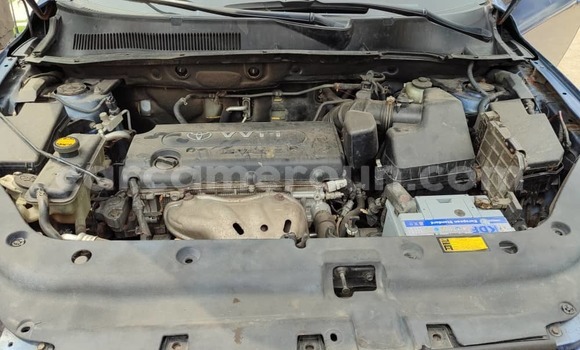 Sayi Na hannu Toyota RAV4 Blue Mota in Douala a Ƙasar Kamaru Sayi Na hannu Toyota RAV4 Blue Mota in Douala a Ƙasar Kamaru