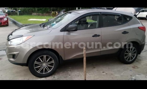 Acheter Occasion Voiture Hyundai Tucson Marron à Douala, Littoral Cameroon Acheter Occasion Voiture Hyundai Tucson Marron à Douala, Littoral Cameroon