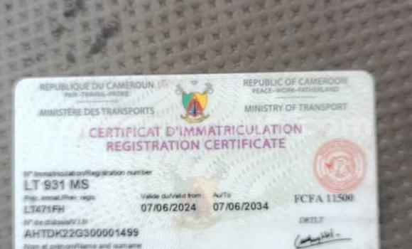 Buy Used Toyota Pickup Silver Car in Yaounde in Central Cameroon Buy Used Toyota Pickup Silver Car in Yaounde in Central Cameroon