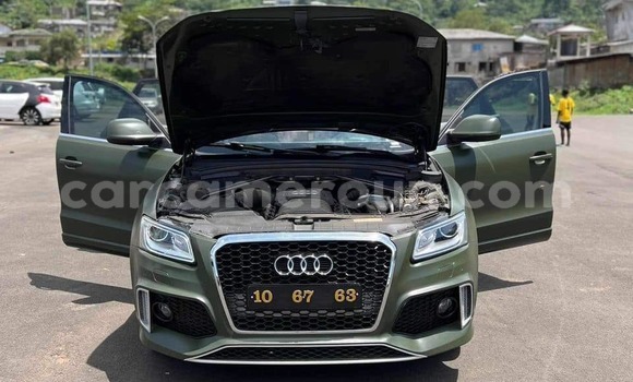 Sayi Na hannu Audi Q5 Green Mota in Douala a Ƙasar Kamaru