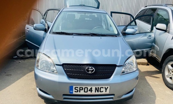 Buy New Toyota Corolla Other Car in Douala in Littoral Cameroon Buy New Toyota Corolla Other Car in Douala in Littoral Cameroon