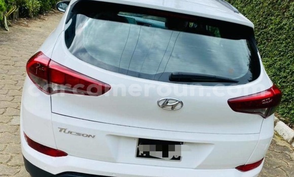 Acheter Occasion Voiture Hyundai Tucson Blanc à Douala, Littoral Cameroon Acheter Occasion Voiture Hyundai Tucson Blanc à Douala, Littoral Cameroon