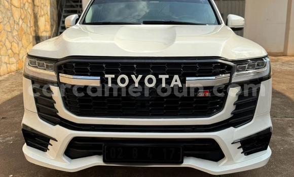 Buy Used Toyota Land Cruiser White Car in Douala in Littoral Cameroon