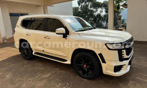 Acheter Occasion Voiture Toyota Land Cruiser Blanc à Douala, Littoral Cameroon Acheter Occasion Voiture Toyota Land Cruiser Blanc à Douala, Littoral Cameroon