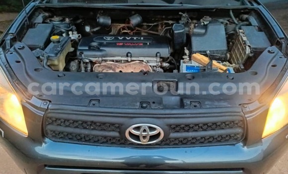 Buy Used Toyota RAV4 Black Car in Yaounde in Central Cameroon Buy Used Toyota RAV4 Black Car in Yaounde in Central Cameroon