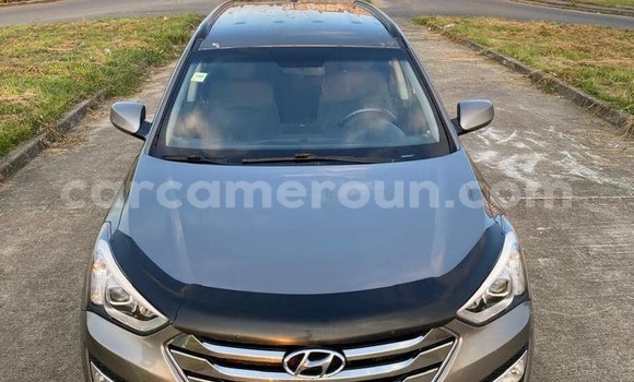 Buy Used Hyundai Santa Fe Other Car in Douala in Littoral Cameroon