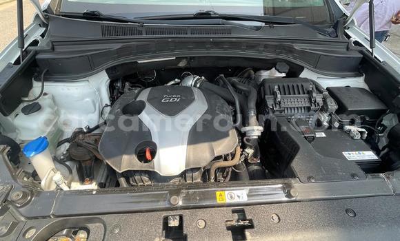 Acheter Occasion Voiture Hyundai Santa Fe Blanc à Douala, Littoral Cameroon Acheter Occasion Voiture Hyundai Santa Fe Blanc à Douala, Littoral Cameroon