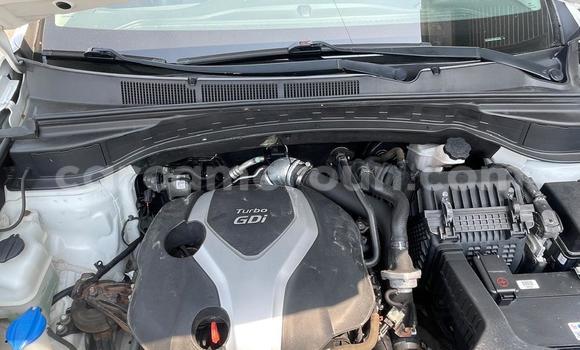 Acheter Occasion Voiture Hyundai Santa Fe Blanc à Douala, Littoral Cameroon Acheter Occasion Voiture Hyundai Santa Fe Blanc à Douala, Littoral Cameroon