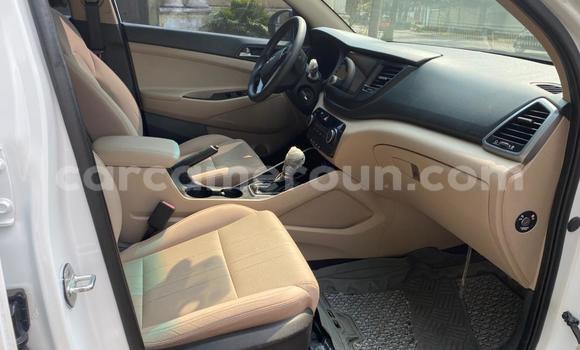 Acheter Occasion Voiture Hyundai Tucson Blanc à Douala, Littoral Cameroon Acheter Occasion Voiture Hyundai Tucson Blanc à Douala, Littoral Cameroon