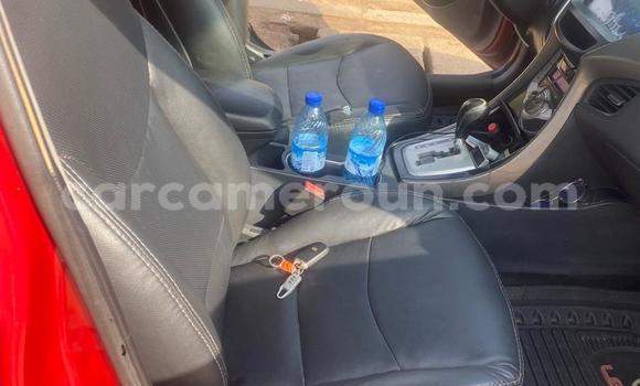 Acheter Occasion Voiture Hyundai Elantra Rouge à Douala, Littoral Cameroon Acheter Occasion Voiture Hyundai Elantra Rouge à Douala, Littoral Cameroon