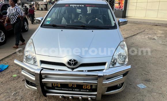 Buy Used Toyota Corolla Verso Silver Car in Douala in Littoral Cameroon