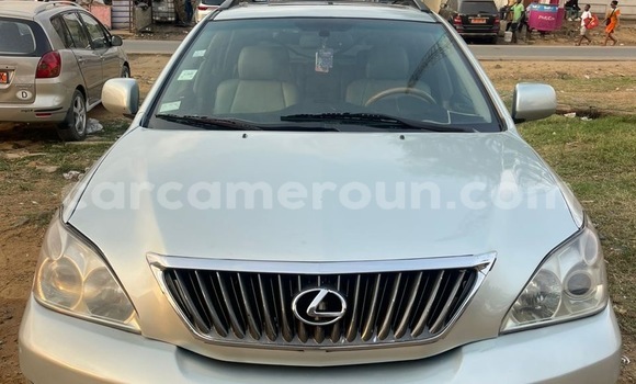 Acheter Occasion Voiture Lexus RX 350 Gris à Douala, Littoral Cameroon