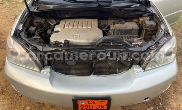Buy Used Lexus RX 350 Silver Car in Douala in Littoral Cameroon Buy Used Lexus RX 350 Silver Car in Douala in Littoral Cameroon