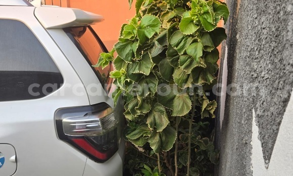 Sayi Na hannu Toyota 4Runner White Mota in Douala a Ƙasar Kamaru Sayi Na hannu Toyota 4Runner White Mota in Douala a Ƙasar Kamaru