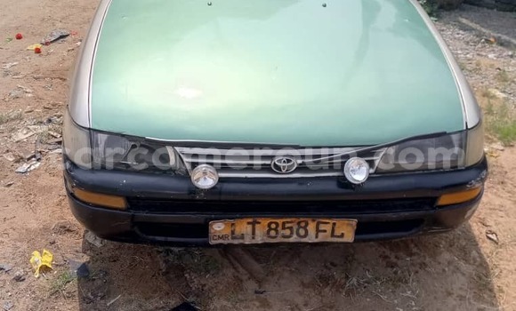 Acheter Occasion Voiture Toyota Corolla Vert à Douala, Littoral Cameroon