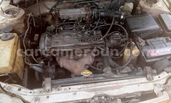 Acheter Occasion Voiture Toyota Corolla Vert à Douala, Littoral Cameroon Acheter Occasion Voiture Toyota Corolla Vert à Douala, Littoral Cameroon