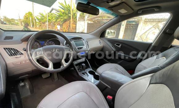 Acheter Occasion Voiture Hyundai Tucson Blanc à Douala, Littoral Cameroon Acheter Occasion Voiture Hyundai Tucson Blanc à Douala, Littoral Cameroon