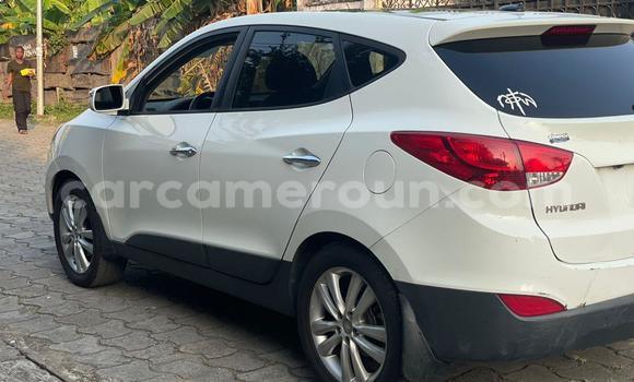 Acheter Occasion Voiture Hyundai Tucson Blanc à Douala, Littoral Cameroon Acheter Occasion Voiture Hyundai Tucson Blanc à Douala, Littoral Cameroon