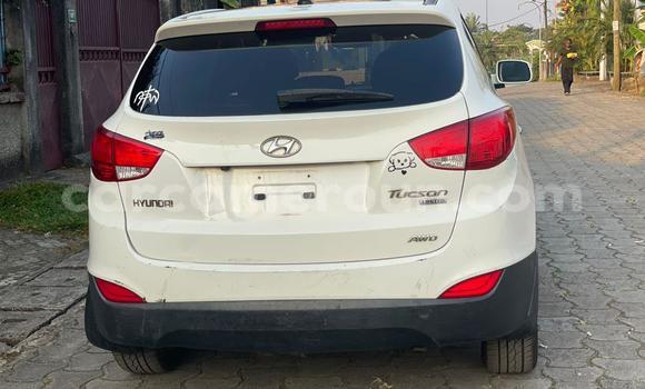 Acheter Occasion Voiture Hyundai Tucson Blanc à Douala, Littoral Cameroon Acheter Occasion Voiture Hyundai Tucson Blanc à Douala, Littoral Cameroon