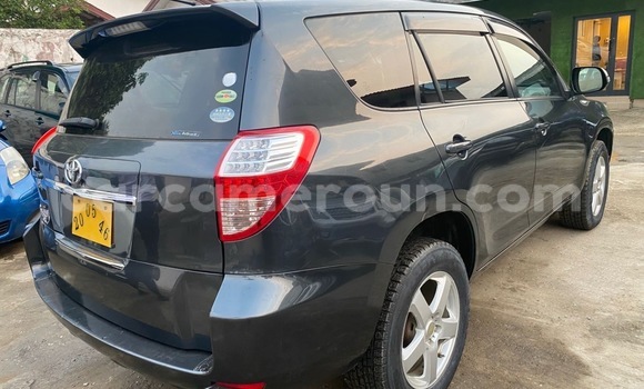 Buy Import Toyota Vanguard Silver Car in Douala in Littoral Cameroon Buy Import Toyota Vanguard Silver Car in Douala in Littoral Cameroon
