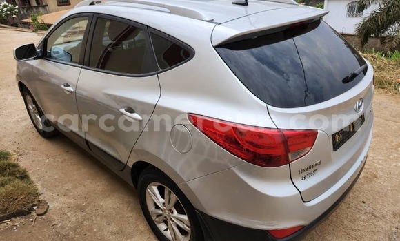 Buy Used Hyundai Tucson Silver Car in Yaounde in Central Cameroon Buy Used Hyundai Tucson Silver Car in Yaounde in Central Cameroon