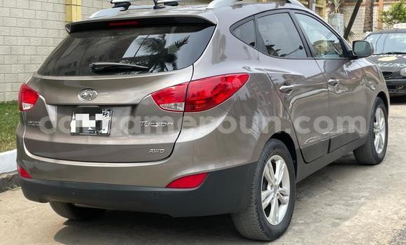 Acheter Occasion Voiture Hyundai Tucson Autre à Douala, Littoral Cameroon Acheter Occasion Voiture Hyundai Tucson Autre à Douala, Littoral Cameroon