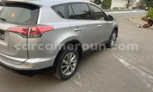 Acheter Occasion Voiture Toyota RAV4 Gris à Douala, Littoral Cameroon Acheter Occasion Voiture Toyota RAV4 Gris à Douala, Littoral Cameroon