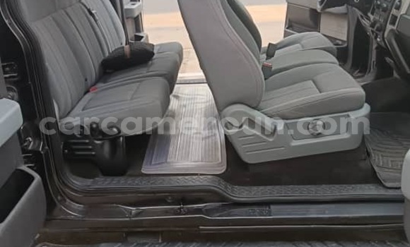 Sayi Imported Ford F–150 Black Mota in Douala a Ƙasar Kamaru Sayi Imported Ford F–150 Black Mota in Douala a Ƙasar Kamaru