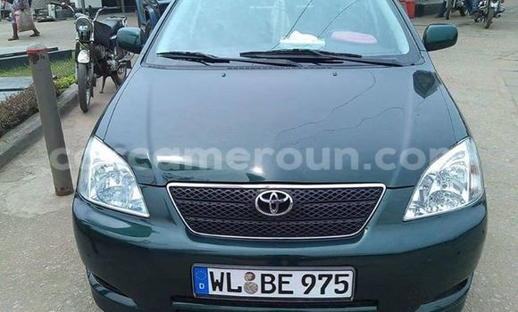Acheter Occasion Voiture Toyota Corolla Gris à Douala, Littoral Cameroon Acheter Occasion Voiture Toyota Corolla Gris à Douala, Littoral Cameroon