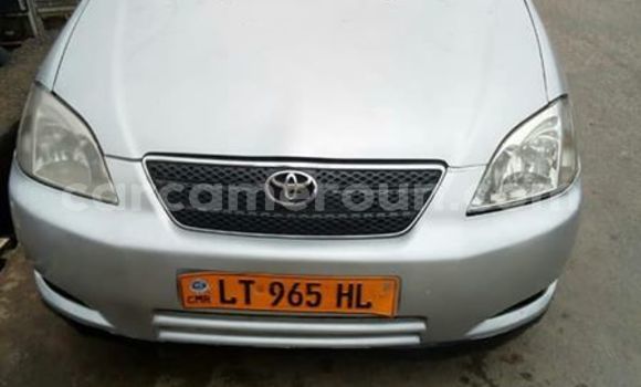 Acheter Occasion Voiture Toyota Corolla Gris à Douala, Littoral Cameroon Acheter Occasion Voiture Toyota Corolla Gris à Douala, Littoral Cameroon