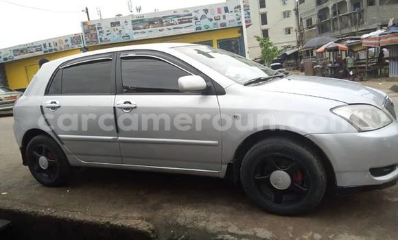 Acheter Occasion Voiture Toyota Corolla Gris à Douala, Littoral Cameroon Acheter Occasion Voiture Toyota Corolla Gris à Douala, Littoral Cameroon