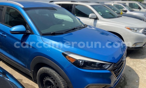 Buy Import Hyundai Tucson Blue Car in Douala in Littoral Cameroon