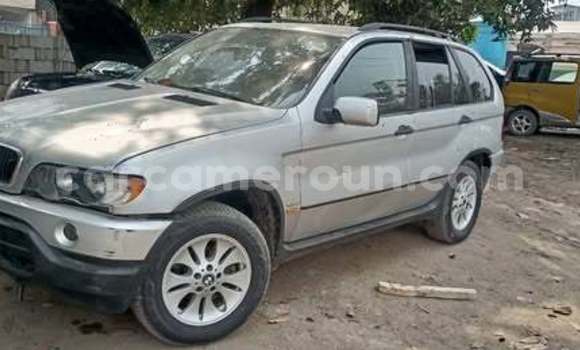 Sayi Na hannu BMW X5 Sauran Mota in Douala a Ƙasar Kamaru