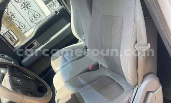 Sayi Na hannu Ford F–150 Sauran Mota in Douala a Ƙasar Kamaru Sayi Na hannu Ford F–150 Sauran Mota in Douala a Ƙasar Kamaru