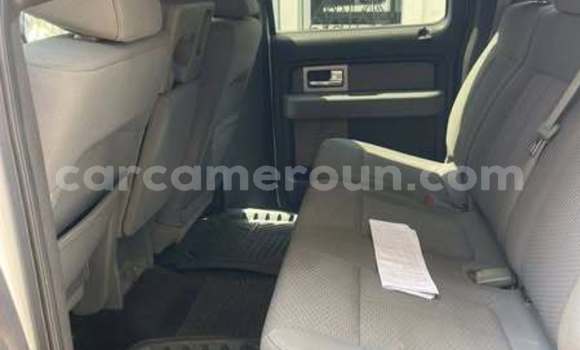Sayi Na hannu Ford F–150 Sauran Mota in Douala a Ƙasar Kamaru Sayi Na hannu Ford F–150 Sauran Mota in Douala a Ƙasar Kamaru
