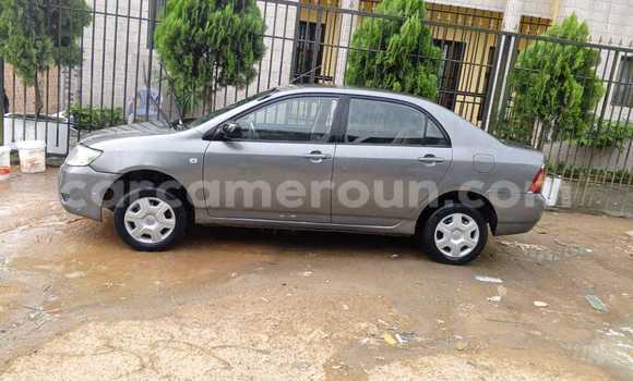 Acheter Occasion Voiture Toyota Corolla Autre à Douala, Littoral Cameroon Acheter Occasion Voiture Toyota Corolla Autre à Douala, Littoral Cameroon