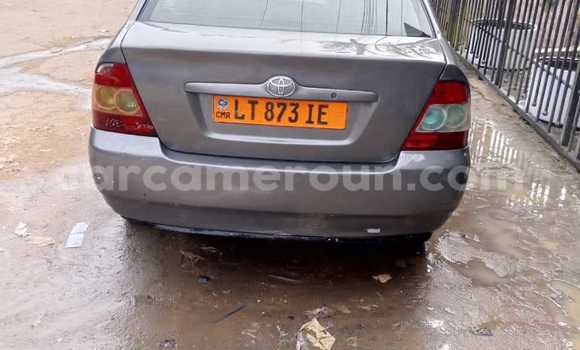 Acheter Occasion Voiture Toyota Corolla Autre à Douala, Littoral Cameroon Acheter Occasion Voiture Toyota Corolla Autre à Douala, Littoral Cameroon
