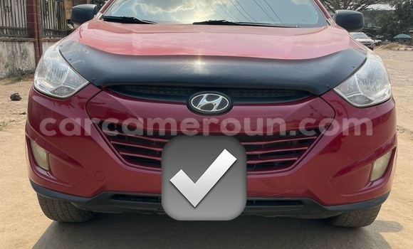 Buy Used Hyundai Tucson Red Car in Douala in Littoral Cameroon