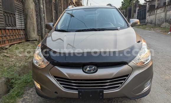 Acheter Occasion Voiture Hyundai Tucson Marron à Douala, Littoral Cameroon