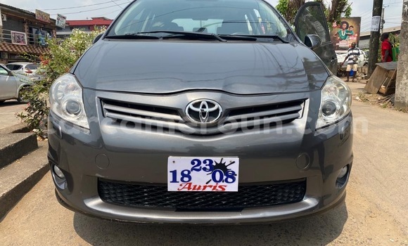 Buy New Toyota Auris Other Car in Douala in Littoral Cameroon